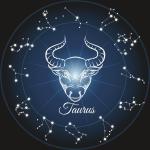 taurus image