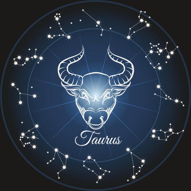 taurus image